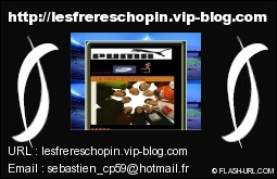 VISITER NOTRE SITE DE LA FAMILLE CHOPIN